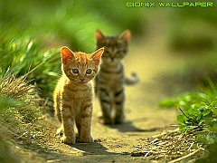 Bionix Wallpaper - Green cats - Tile example